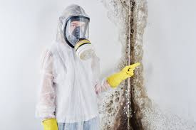 Mold Remediation for Vacation Homes in Shenandoah, LA